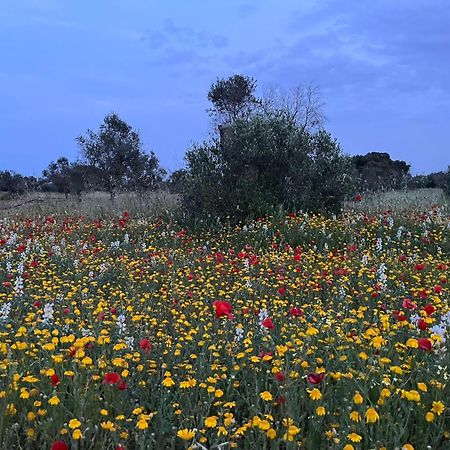 מרטאנו Agriturismo Villa Coluccia מראה חיצוני תמונה