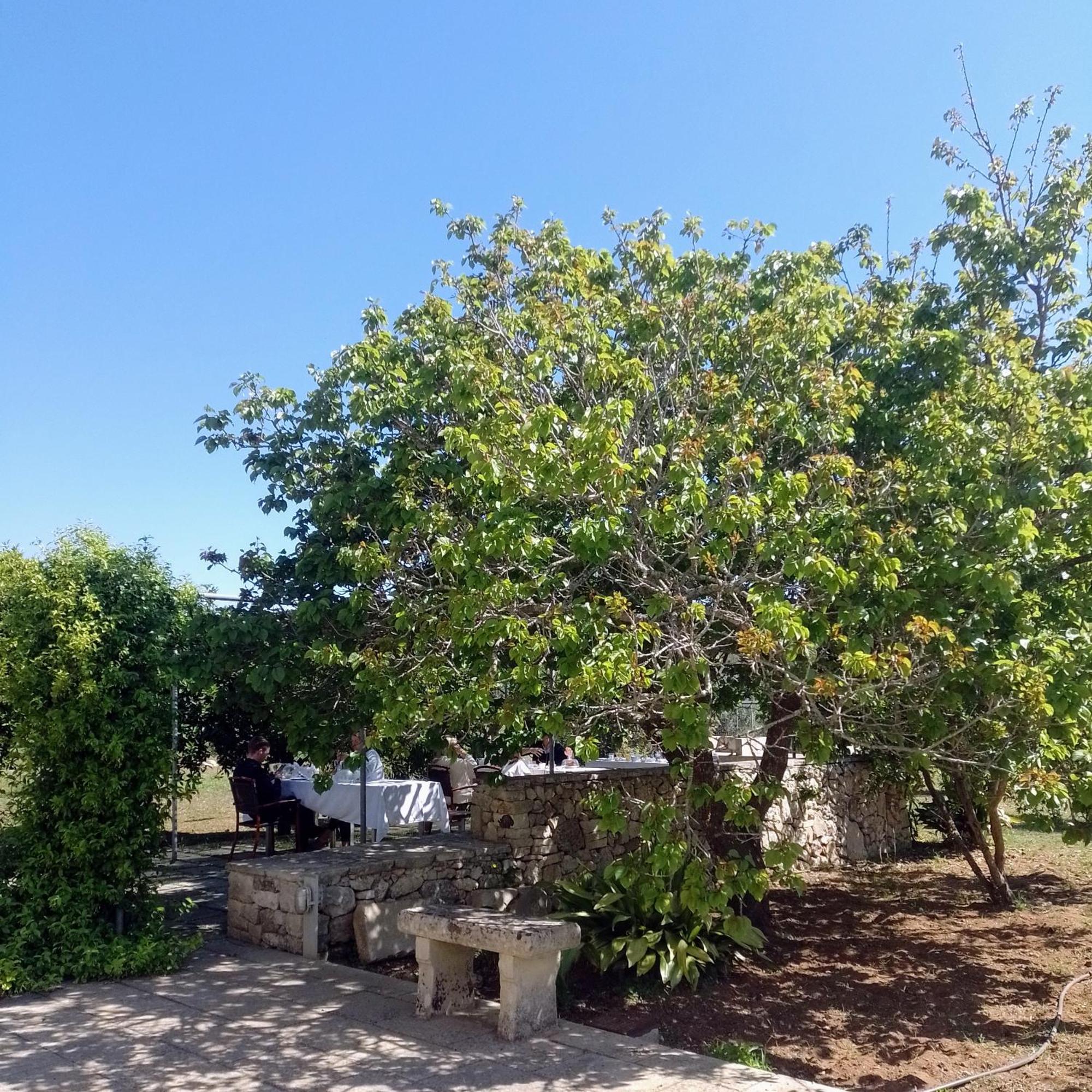 מרטאנו Agriturismo Villa Coluccia מראה חיצוני תמונה