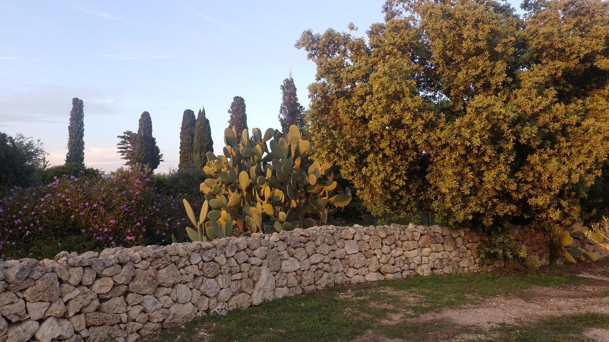 מרטאנו Agriturismo Villa Coluccia מראה חיצוני תמונה