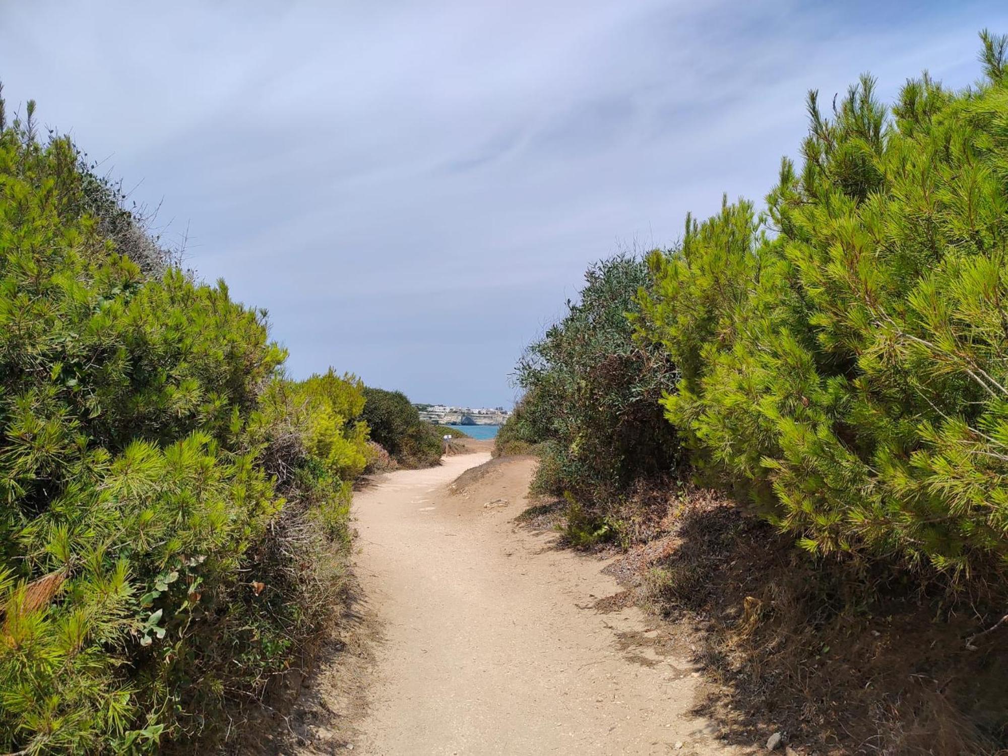 מרטאנו Agriturismo Villa Coluccia מראה חיצוני תמונה
