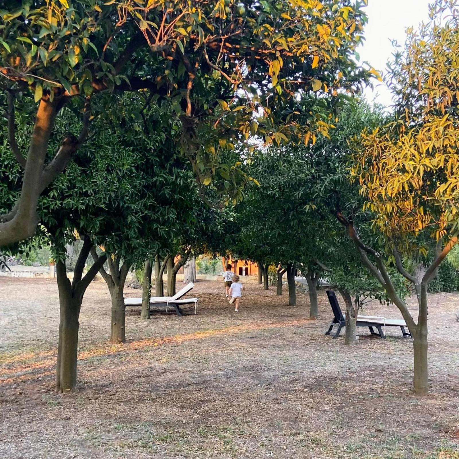 מרטאנו Agriturismo Villa Coluccia מראה חיצוני תמונה