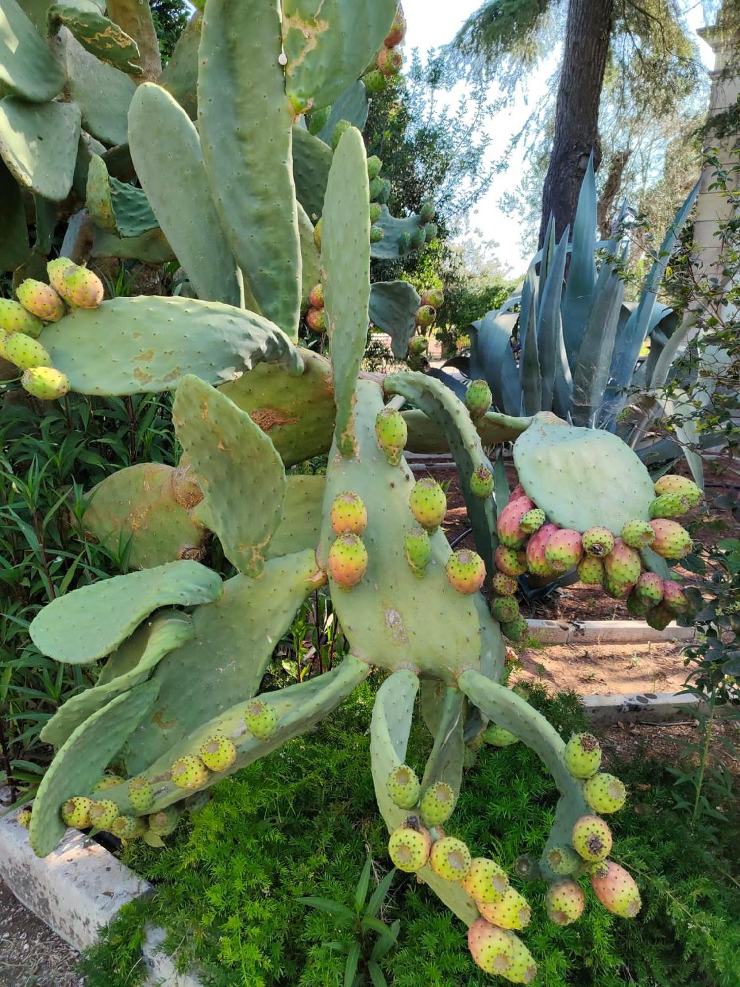 מרטאנו Agriturismo Villa Coluccia מראה חיצוני תמונה
