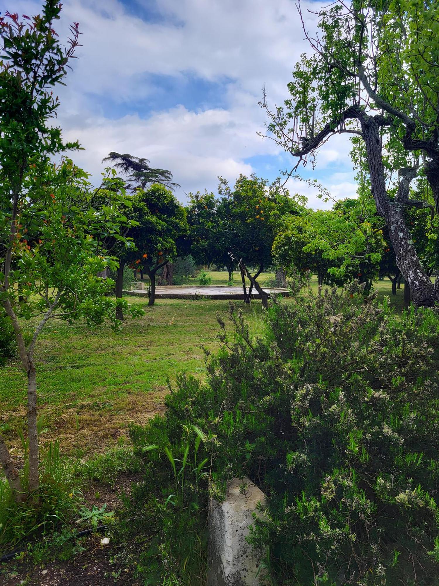 מרטאנו Agriturismo Villa Coluccia מראה חיצוני תמונה