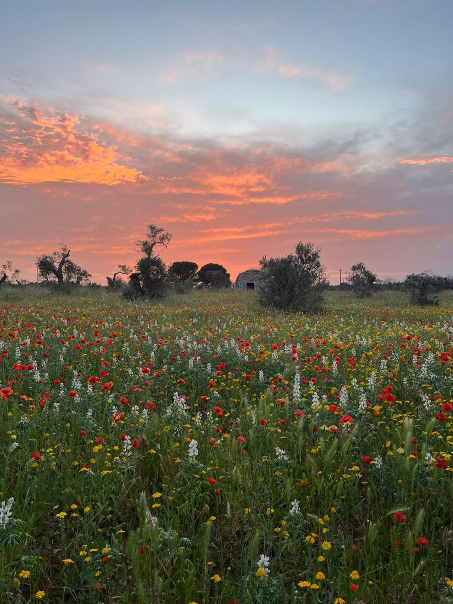 מרטאנו Agriturismo Villa Coluccia מראה חיצוני תמונה